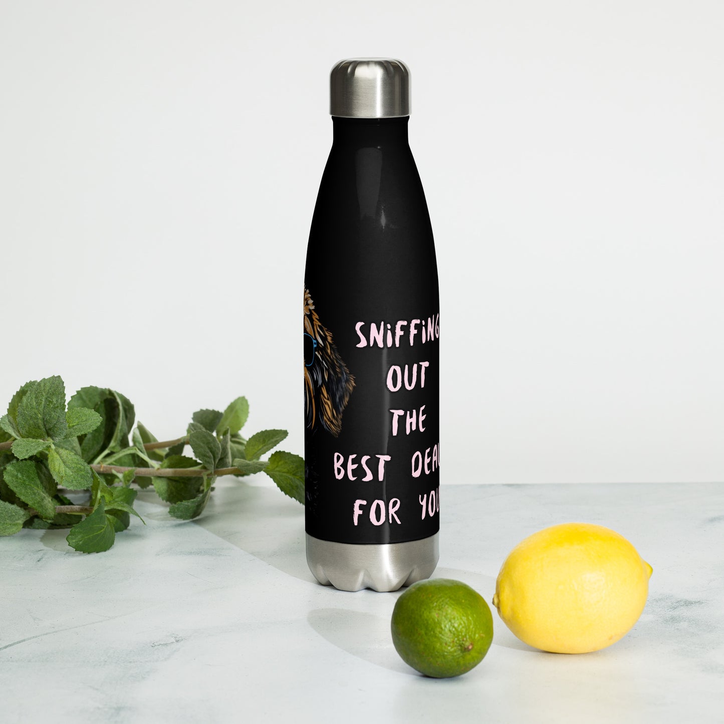 Stainless Steel Water Bottle - Sniffin' Out the Best Deals